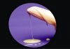 Nightfall Treatment From Garlic - Sex Samasya
