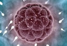 स्पर्म बढ़ाने के उपाय (Sperm badhane ke upay in hindi) Sperm Kiase Badhaye