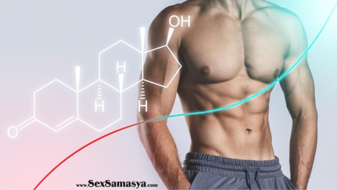 Testosterone Hormone or Karya - Sex Samasya