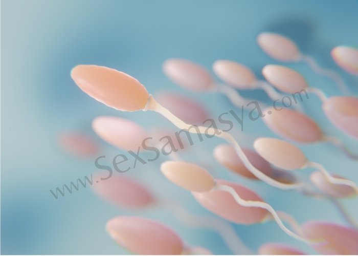 Low Sperm Count Ke Karan - Sex Samasya