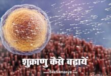 इन 5 उपायों से बढ़ायें स्पर्म काउंट (Sperm count kaise badhaye) Sperm Count Kaise Badhaye - Sex Samasya