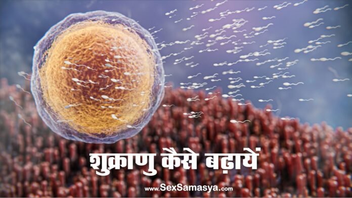 Sperm Count Kaise Badhaye - Sex Samasya